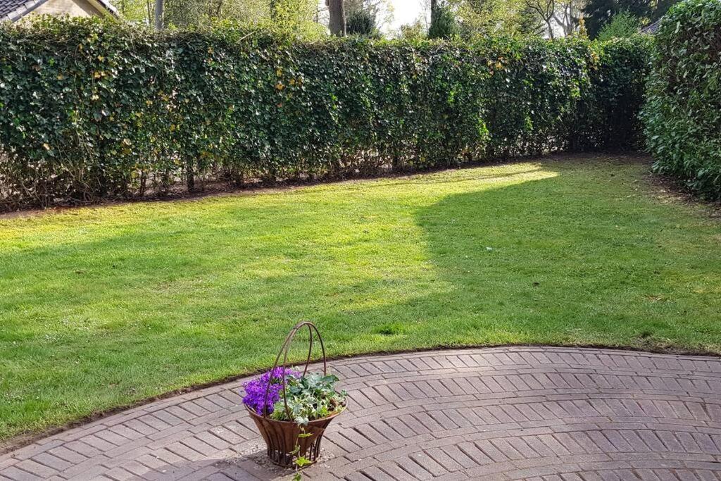 4-6 Persoons Vakantiewoning Met Eigen Tuin Villa Bakkeveen Exterior photo